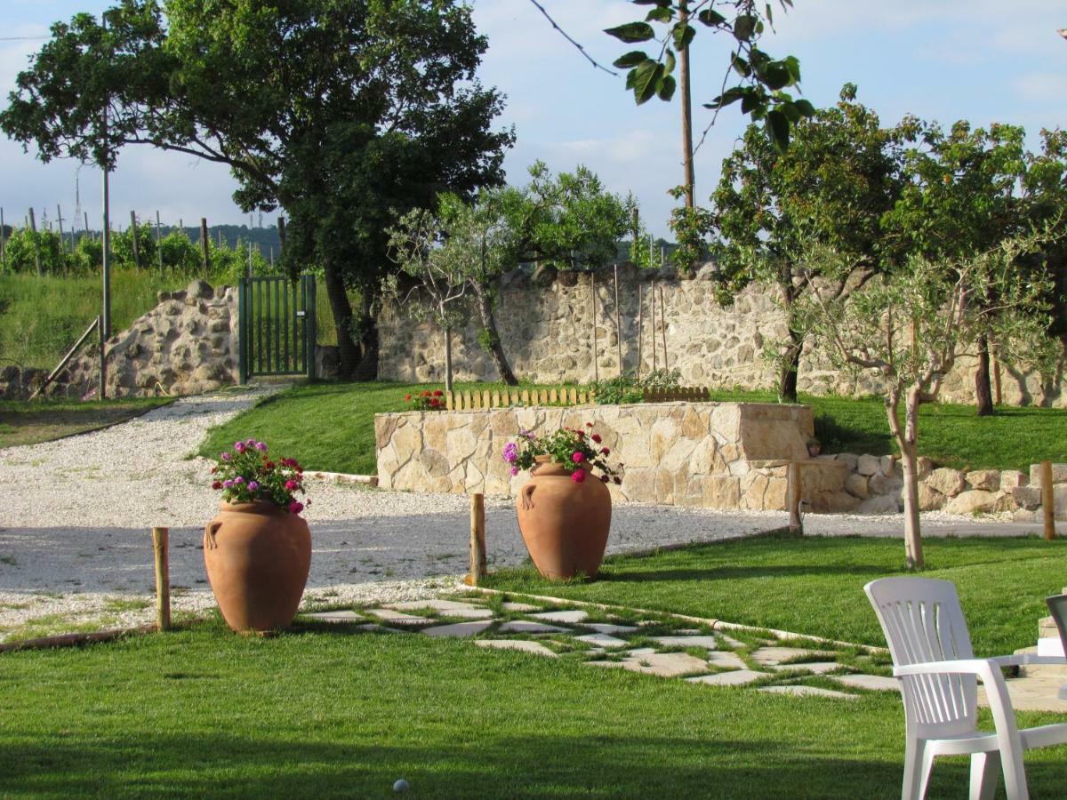 I Grilli B&B Baone Kültér fotó